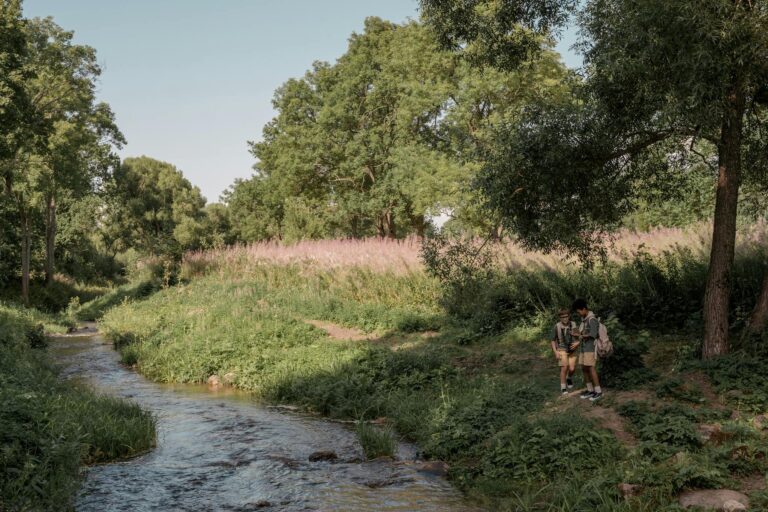 Two scouts in uniforms navigate a lush meadow beside a tranquil stream, embodying adventure.